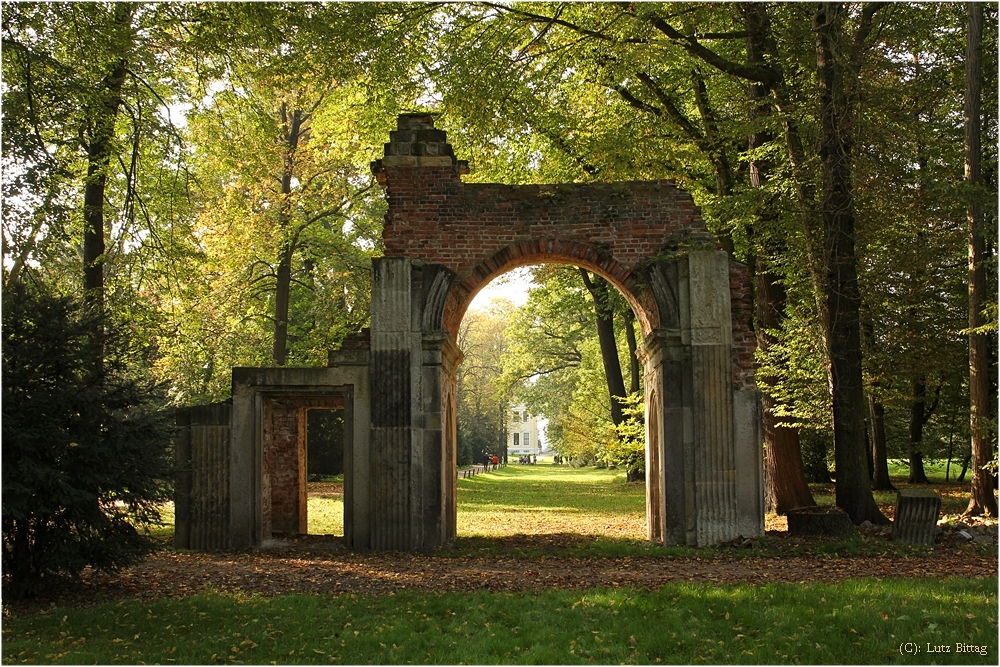 Ruinenbogen im Luisium