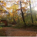 Ruinenbrücke im Herbst