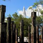 Ruinenfeld bei Polonnaruwa mit Spitze einer Dagoba im Hintergrund