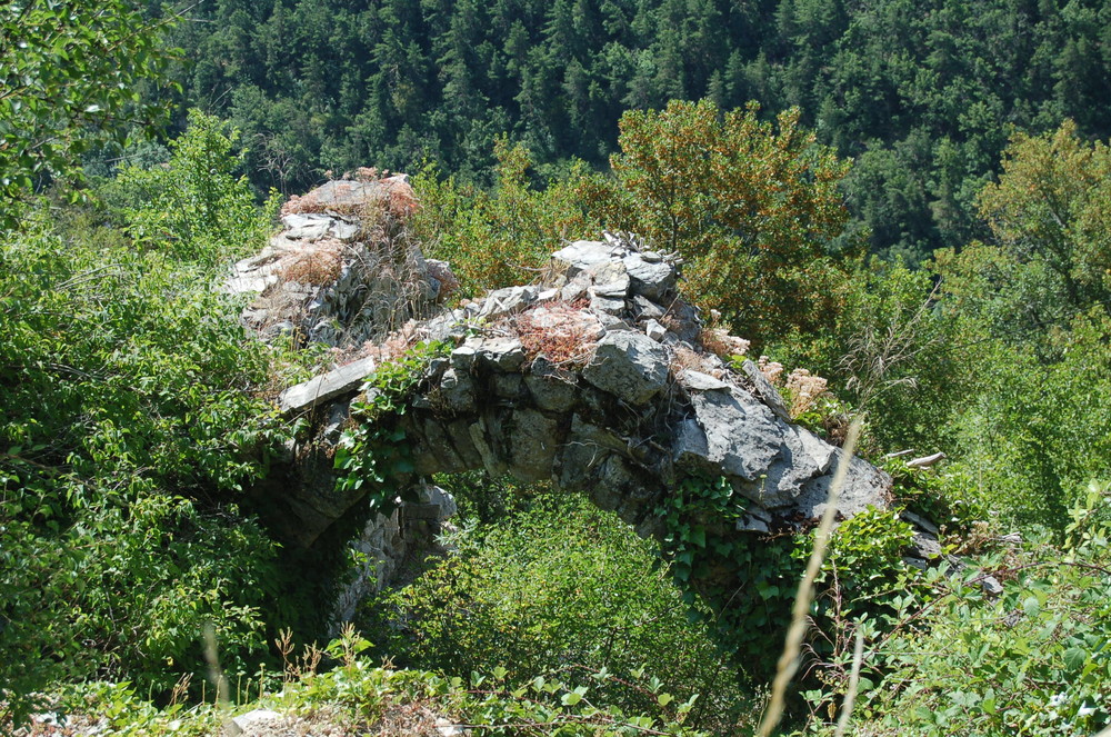 Ruines dans les gorges du Tarn