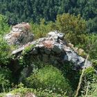 Ruines dans les gorges du Tarn