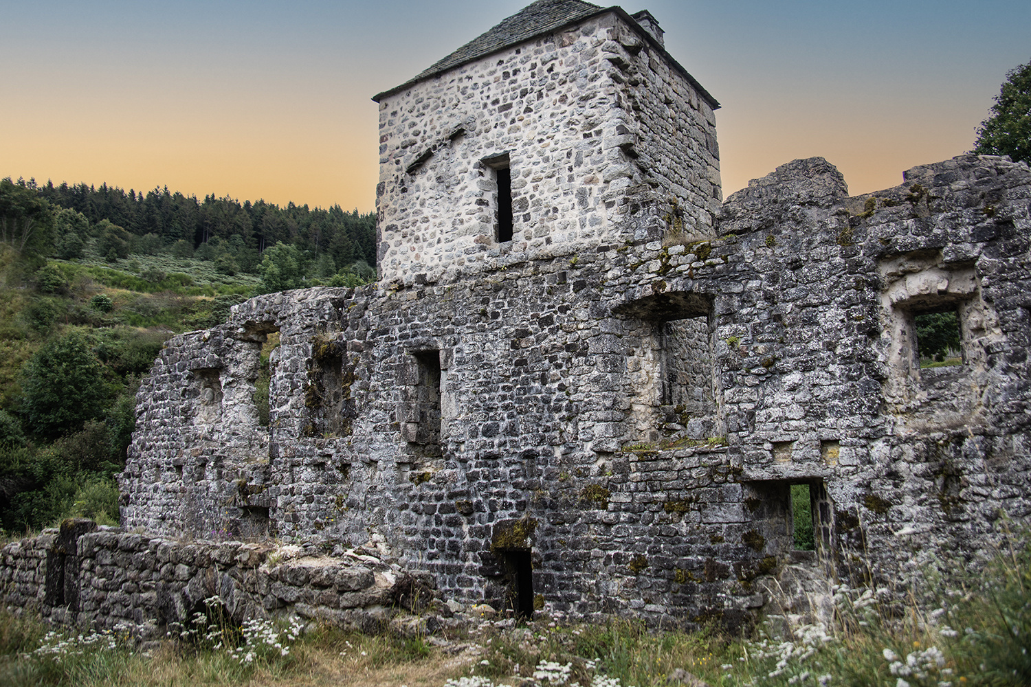 Ruines de Abbaye de Mazan  (1) 