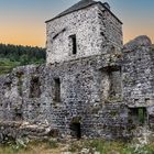 Ruines de Abbaye de Mazan  (1) 