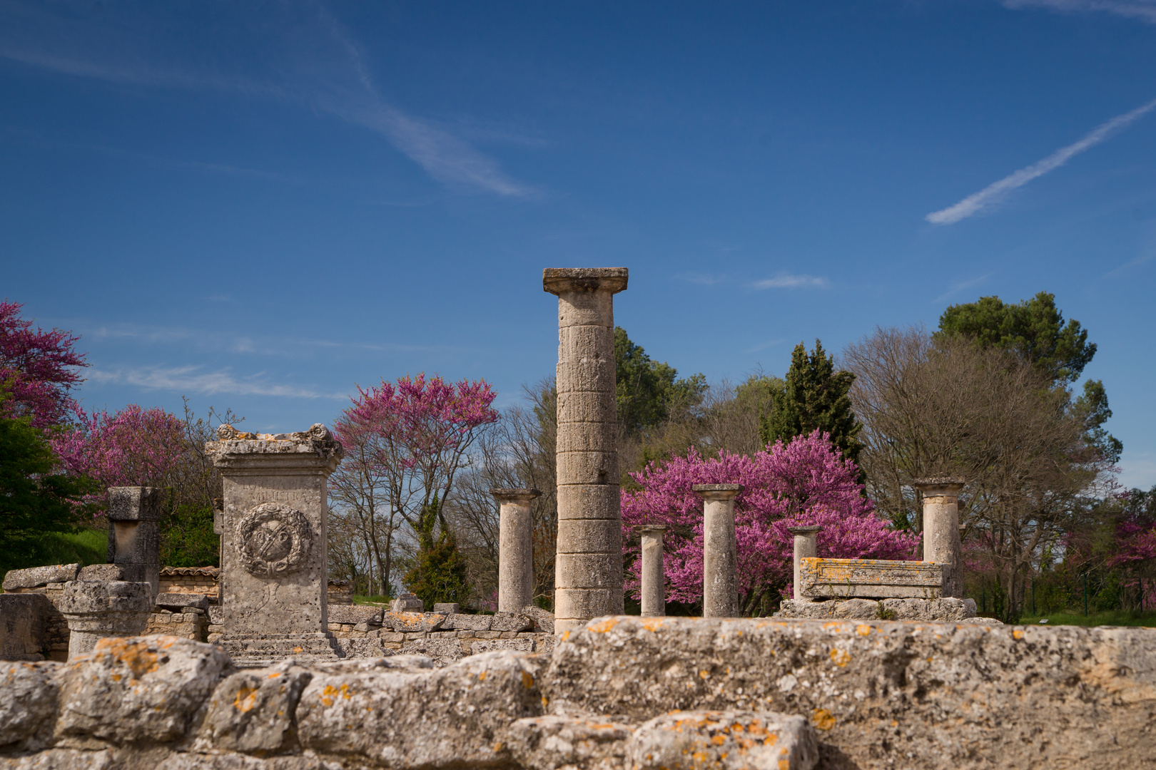 Ruines de Glanum