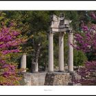 Ruines de Glanum