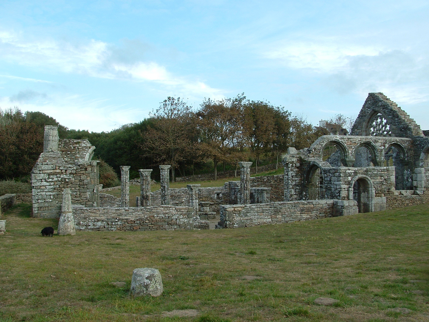 ruines de la chapelle de LANGUIDOU XII em siecle