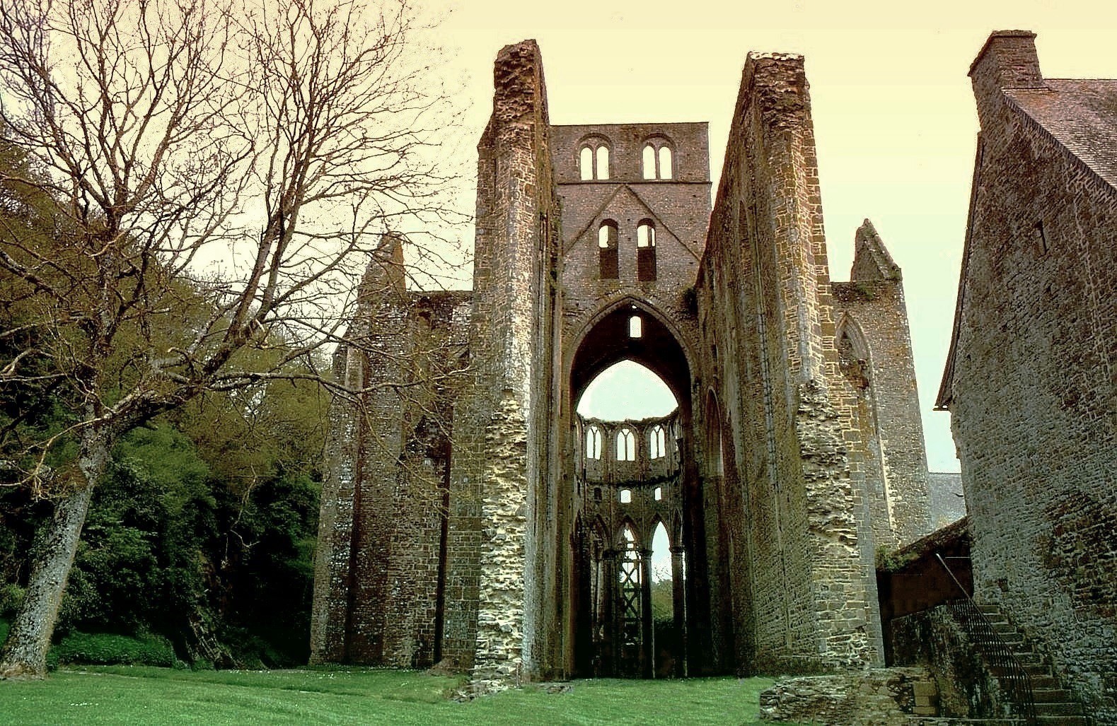 Ruines de l'Abbaye de Hambye Manche