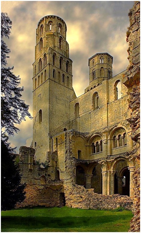 Ruines de l'abbaye de Jumièges (Seine-Maritime /76)