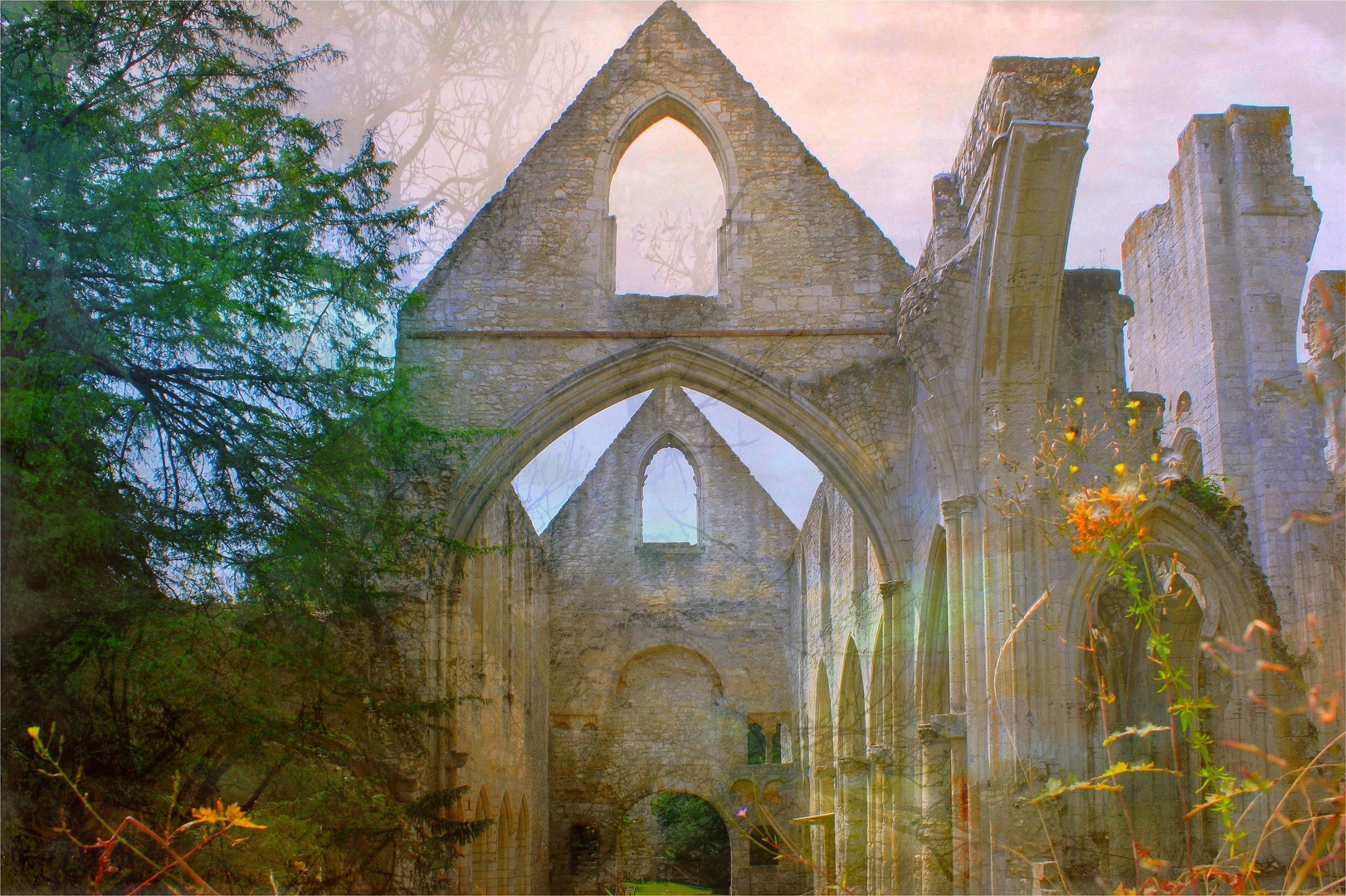 Ruines de l'abbaye de Jumièges / Seine Maritime