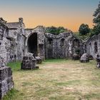 Ruines de l'Abbaye de Mazan(2)