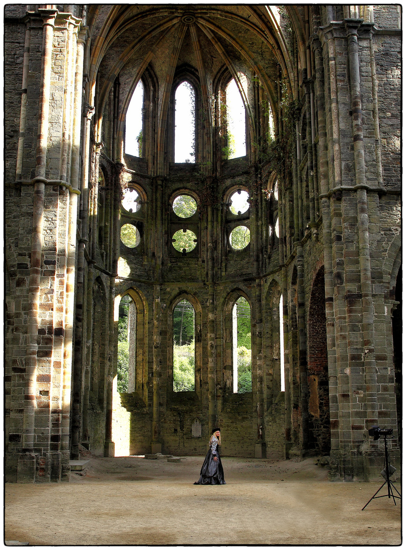 Ruines de l'Abbaye de Villers