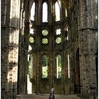 Ruines de l'Abbaye de Villers