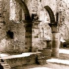 Ruines de l'Abbaye de Villers