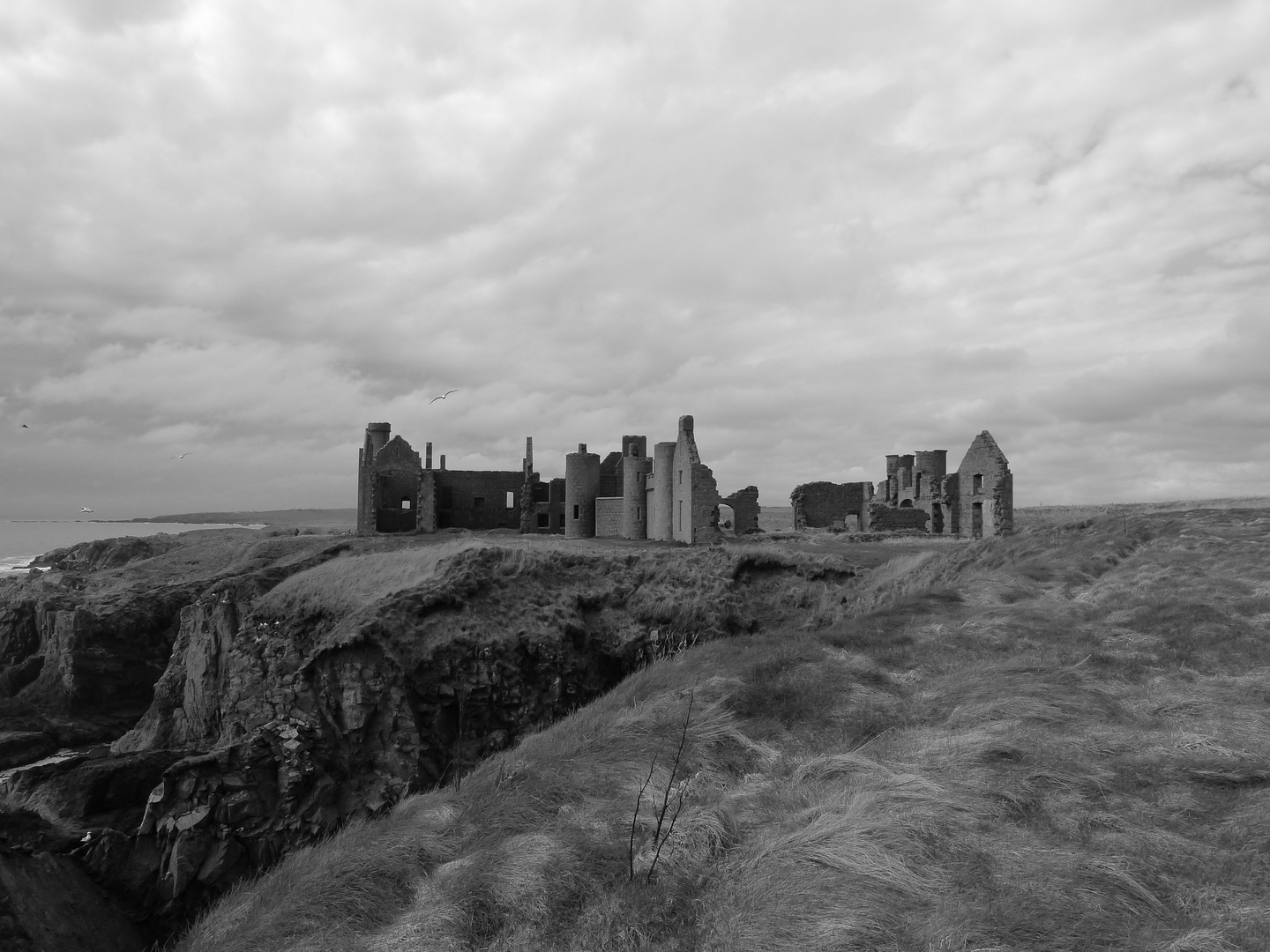 Ruines de Slains Castel, Aberdeenshire, Ecosse