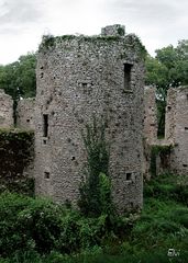 Ruines du château de Ranrouët -