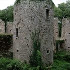 Ruines du château de Ranrouët -