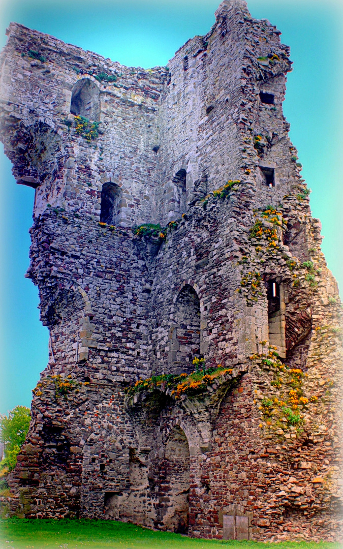 Ruines du château de Regnéville/Mer (Manche/ 50)