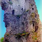 Ruines du château de Regnéville/Mer (Manche/ 50)