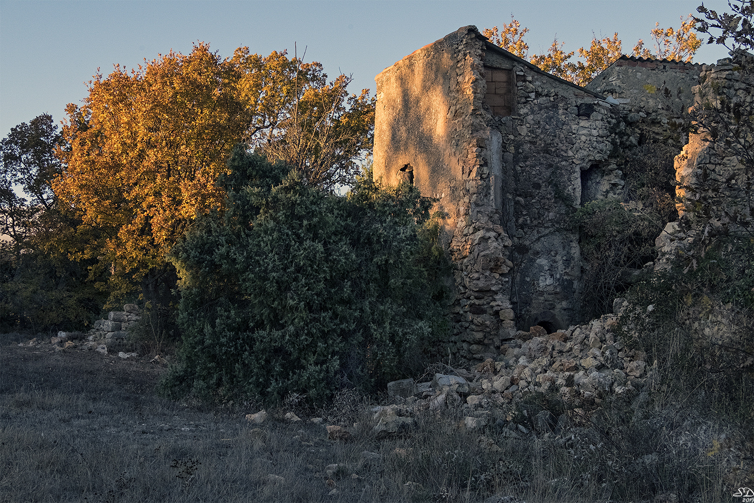 Ruines en hiver 