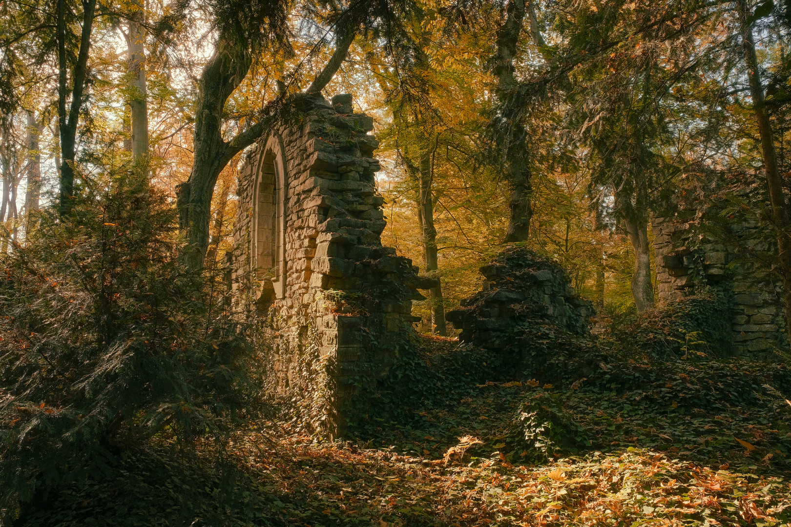 Ruins among the trees