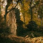 Ruins among the trees