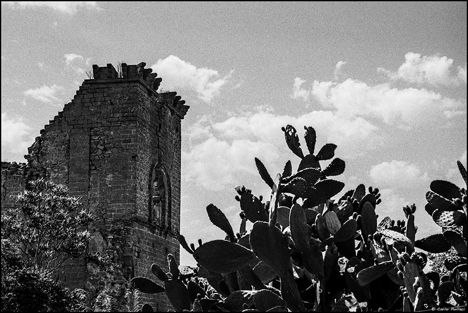 Ruins and prickly pears