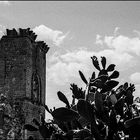 Ruins and prickly pears