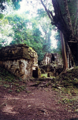 Ruins at Yaxchilan