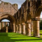 Ruins of Buildwa Abbey 2