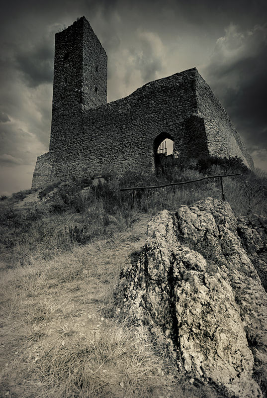 Ruins of Castle "Checiny"