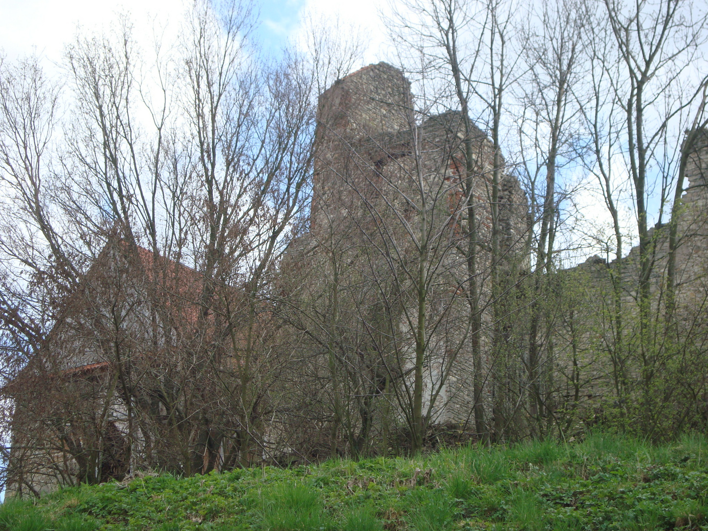 Ruins of castle