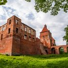 ruins of Szymbark castle #014