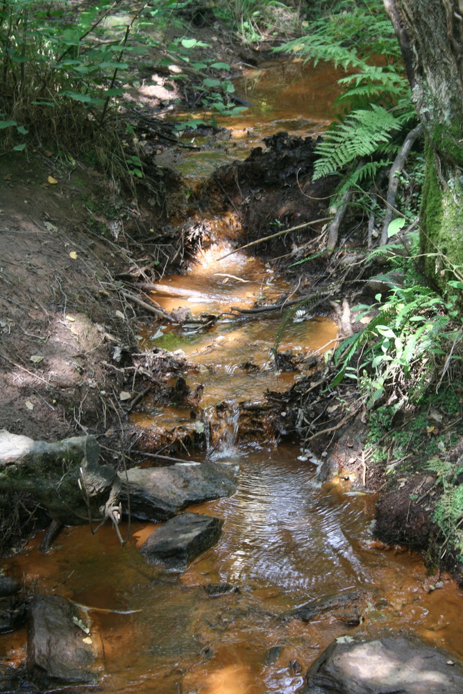 ruisseau photo et image paysages, lacs, rivières, cascades, nature
