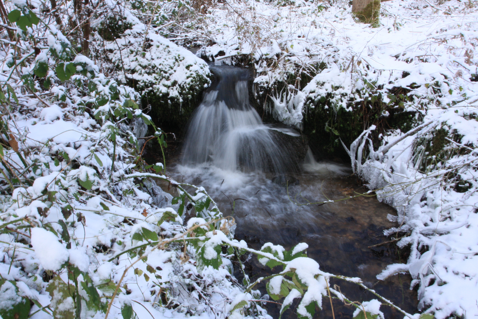 Ruisseau photo et image paysages, lacs, rivières, cascades, nature