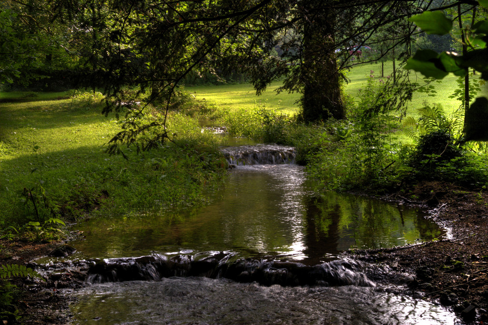 Ruisseau à Chamleux (Belgique)