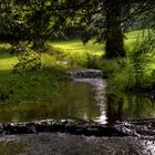 Ruisseau à Chamleux (Belgique)