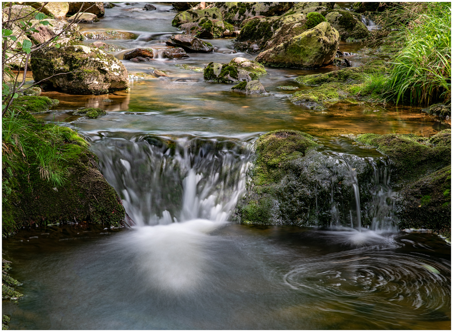 Ruisseau de Bayehon (2)