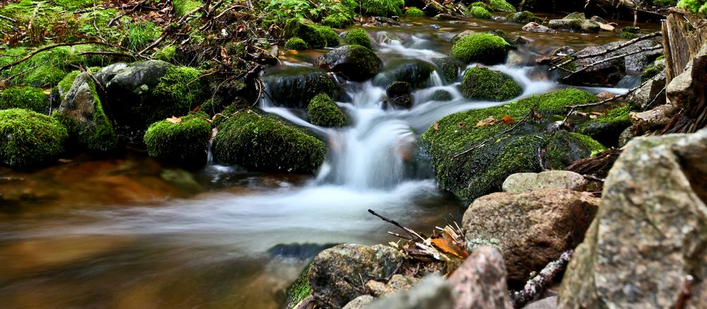 Ruisseau des Habitations neufes