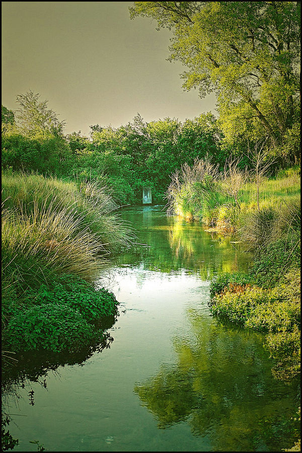 Ruisseau en Provence