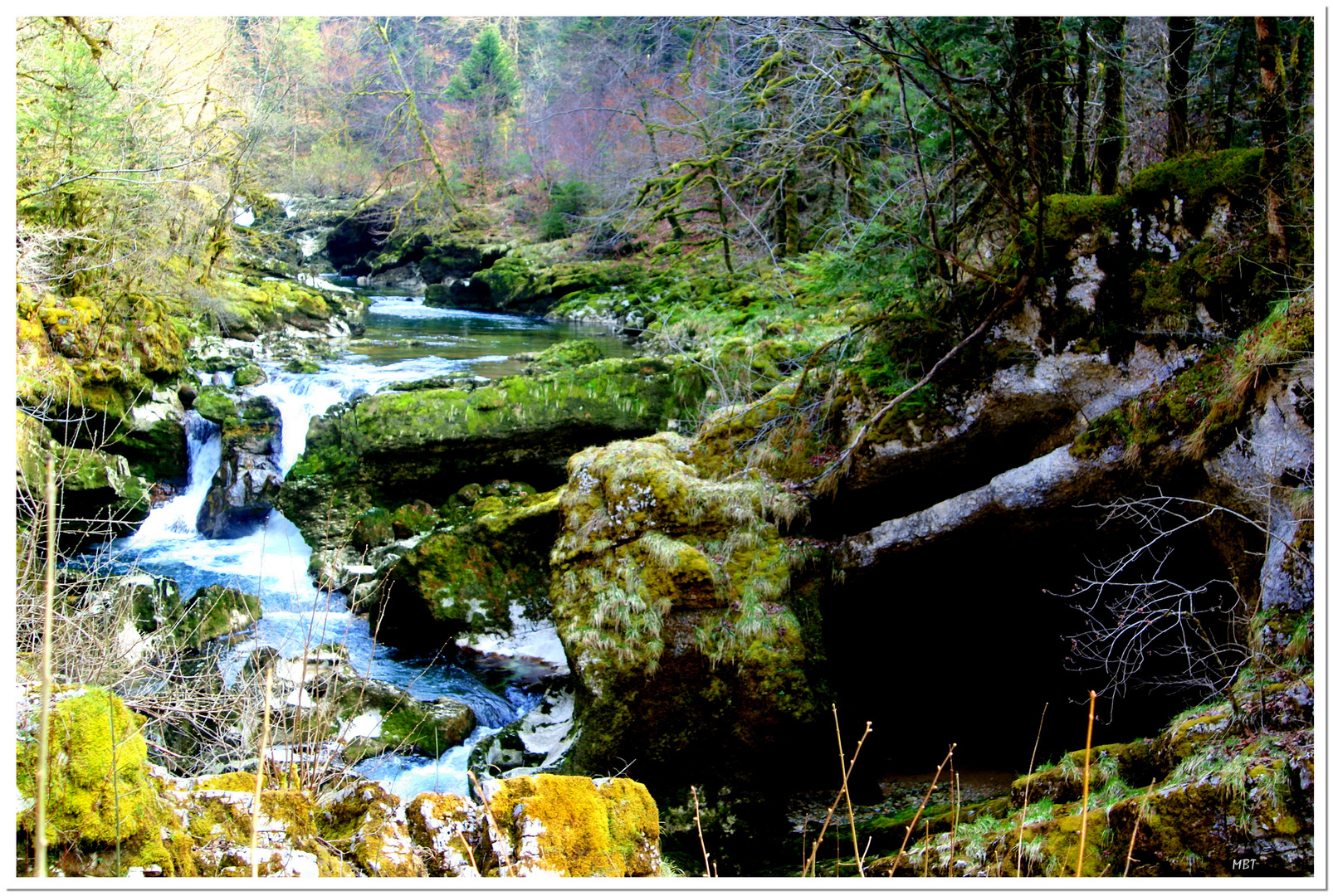 Ruisseau en sous-bois