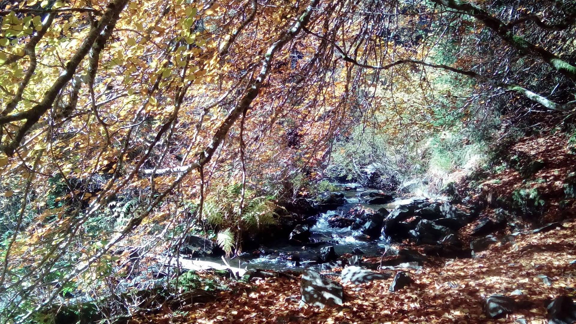 ruisseau lac de Guery