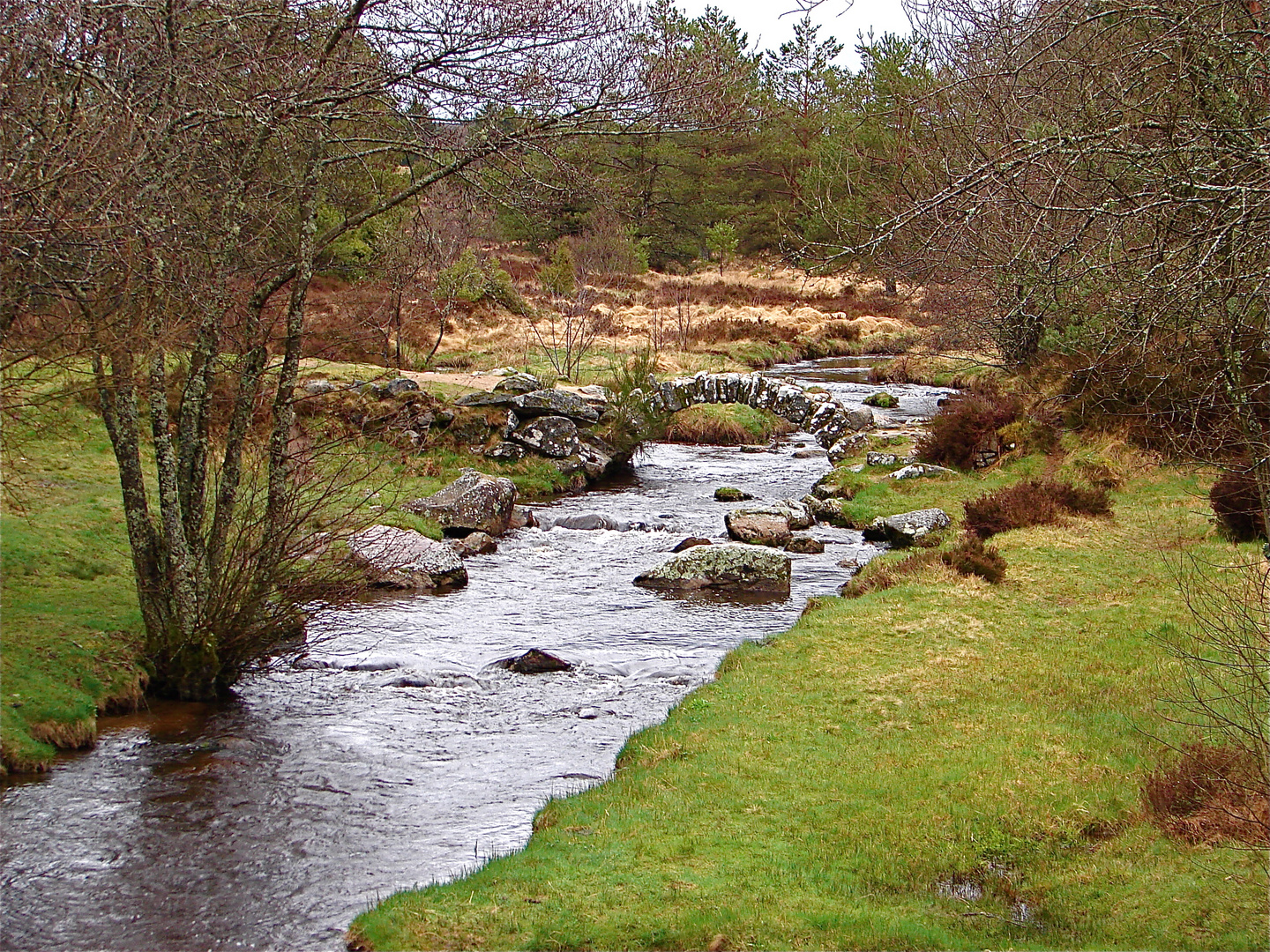 Ruisseau perdu dans la lande