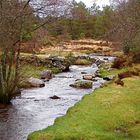 Ruisseau perdu dans la lande