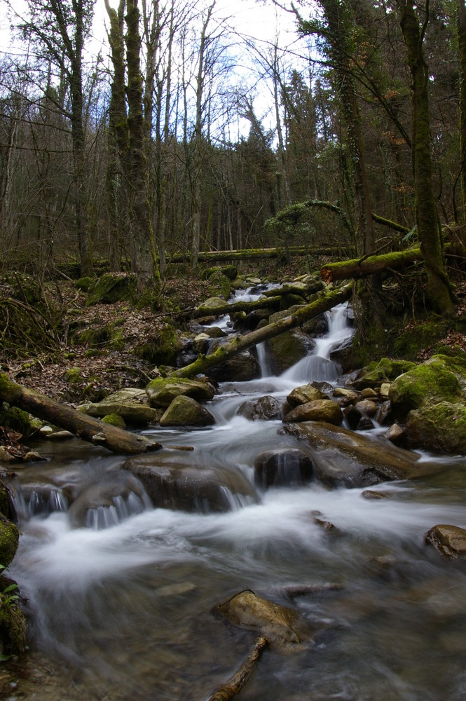 ruisseau qui traverse lugrin pour alimenter le lac leman :p