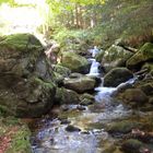 Ruisseaux d'Auvergne