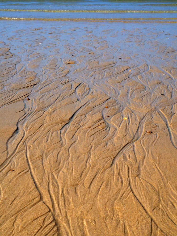 Ruissellement à marée basse