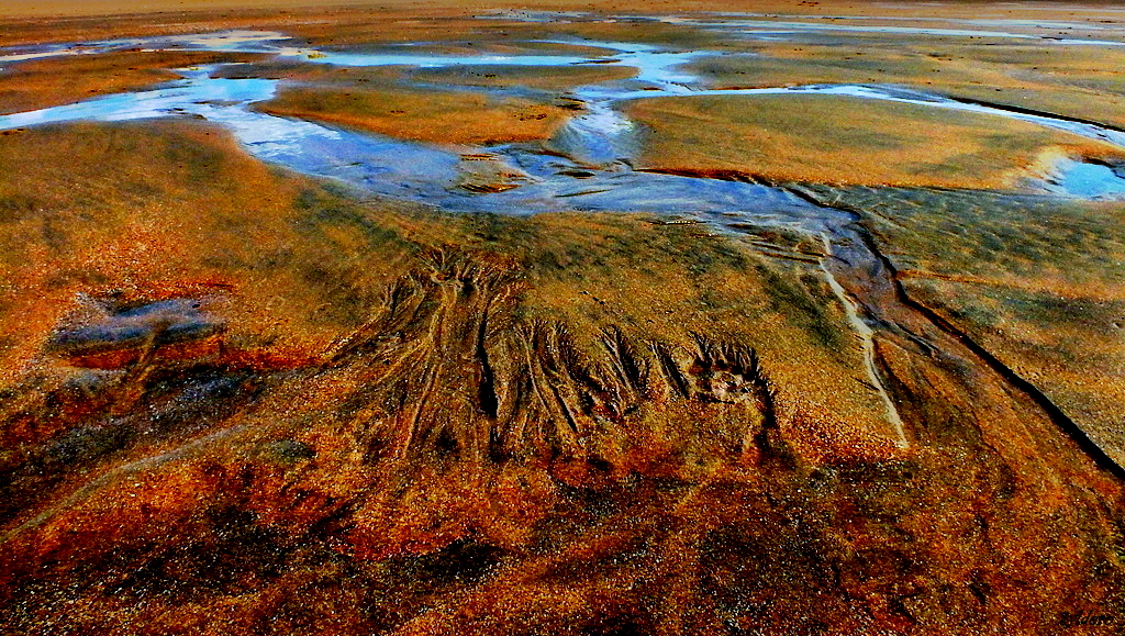 Ruissellement à marée basse