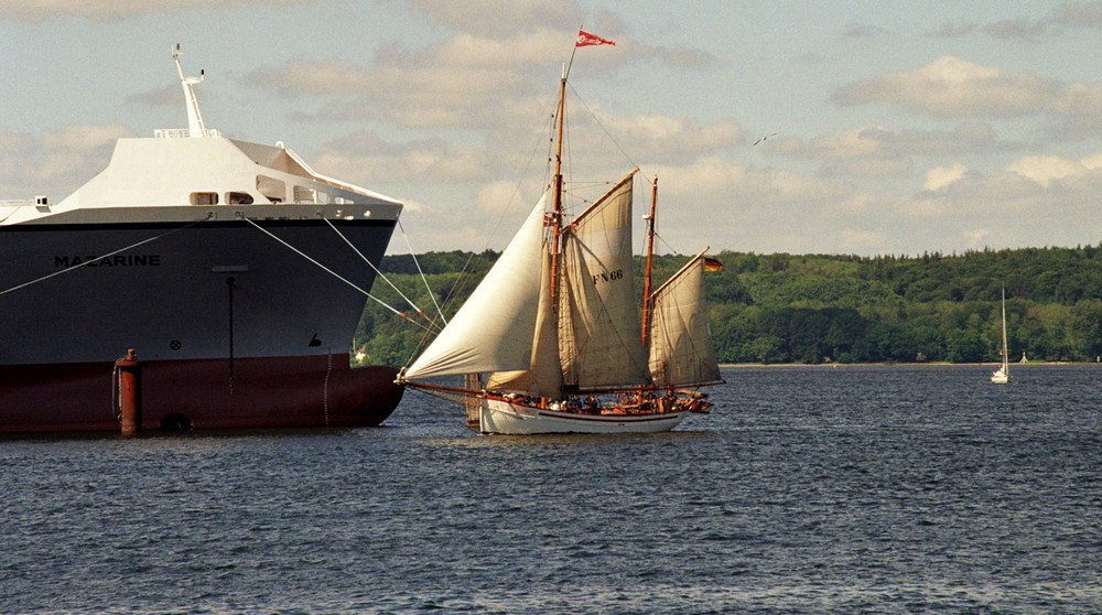 Rum Regatta 2009