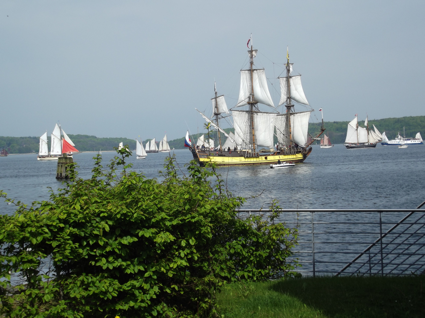 Rum-Regatta in Flensburg