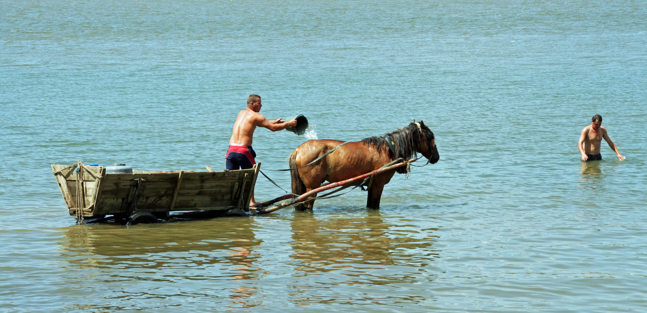 Rumänien, Donau: Eine Erfrischung für Mensch und Tier